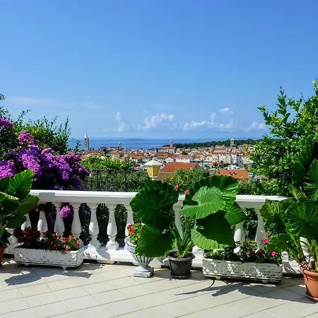 Mireja Guest house 3*